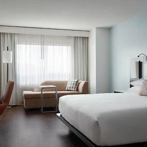 King Room Sofa Bed
